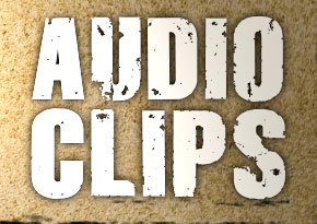 Audio Clips